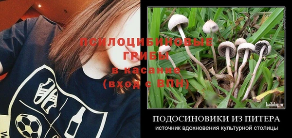 бошки Балахна