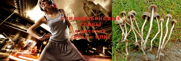 бошки Балахна