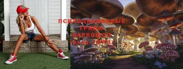 мяу мяу мука Балабаново